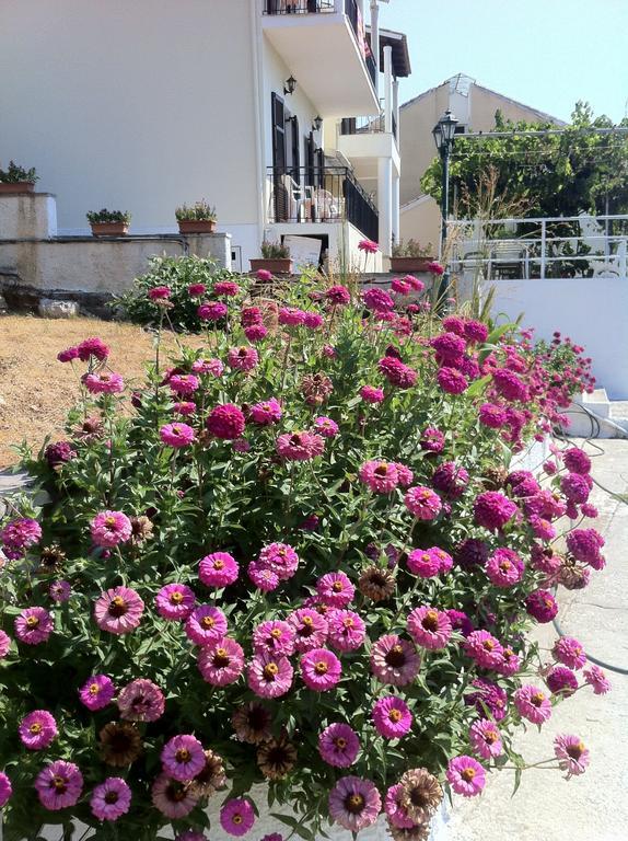 Apartament Dimitrakis