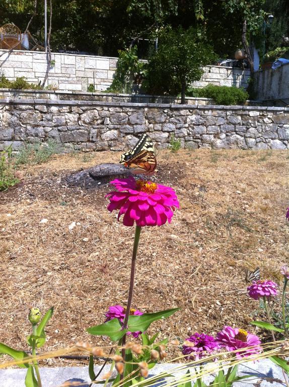 Appartamento Dimitrakis *